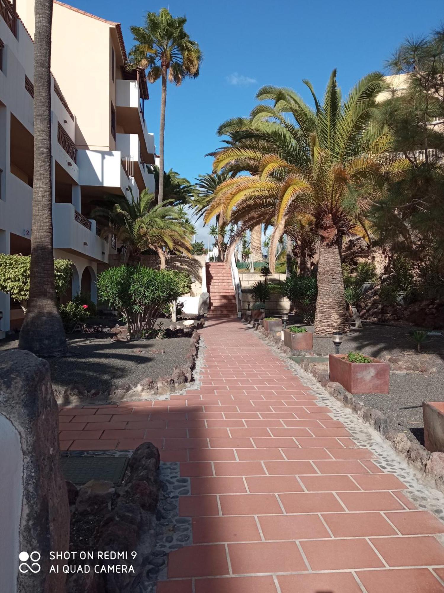Las Meninas Tenerife San Miguel de Abona Habitación foto